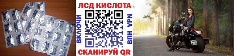 дарнет шоп  Приозерск  Лсд 25 экстази ecstasy 