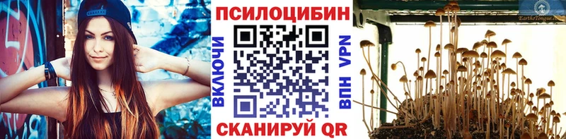 Галлюциногенные грибы ЛСД  Приозерск 